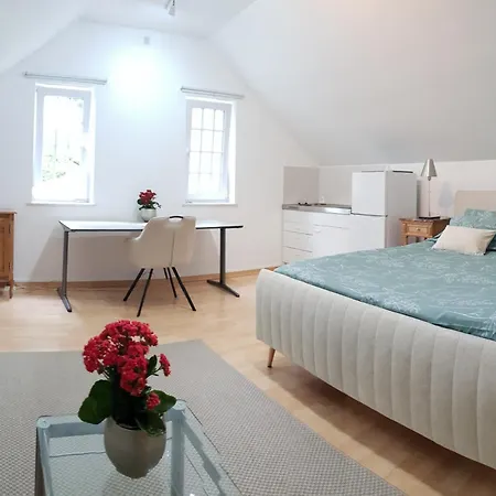 L'ecrin Sous Les Toits 3* Liège