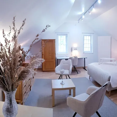 L'ecrin Sous Les Toits 3* Liège